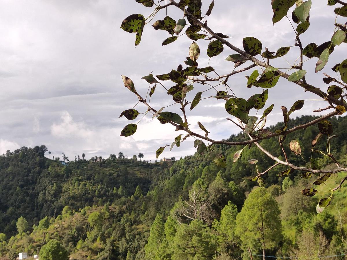 Hotel Orchard Hill Retreat Mukteshwar Zewnętrze zdjęcie